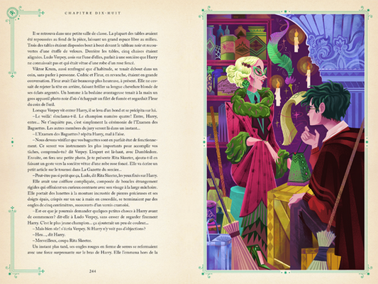 HARRY POTTER ET LA COUPE DE FEU - Edition interactive