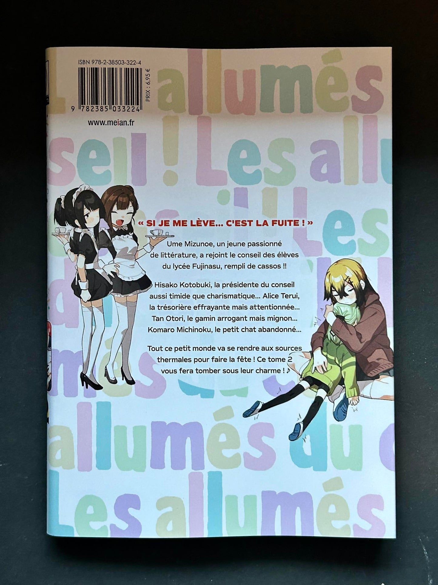 Les allumés du conseil ! - Tome 02