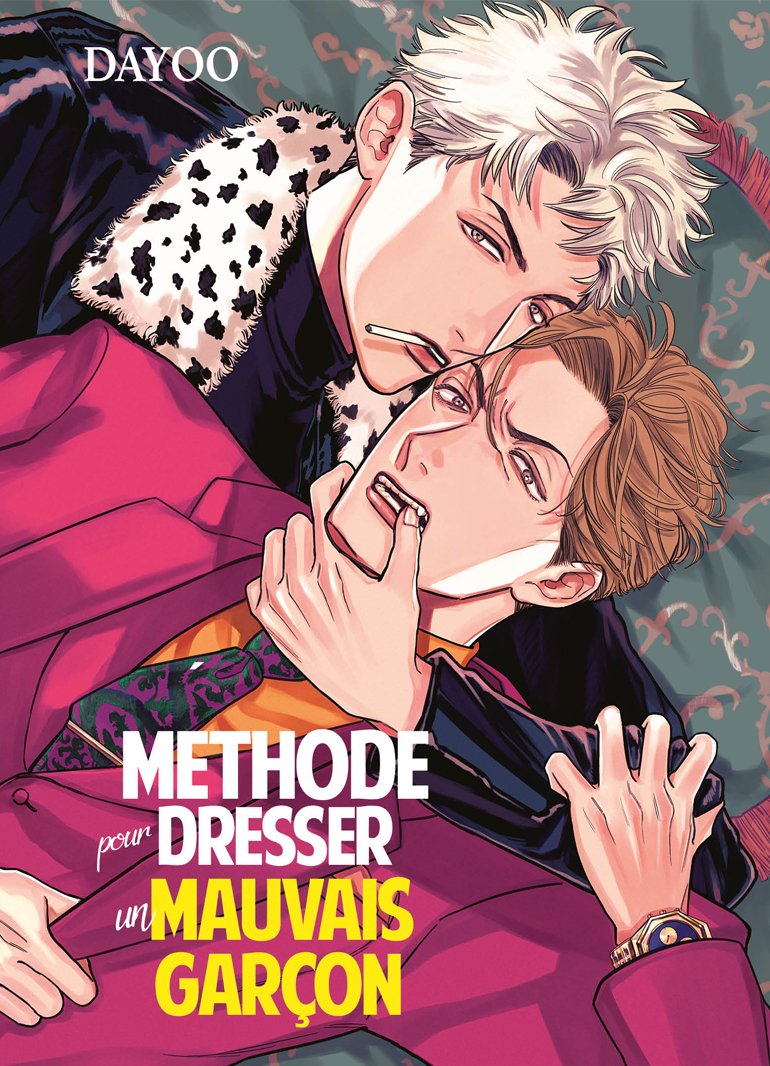METHODE POUR DRESSER UN MAUVAIS GARCON