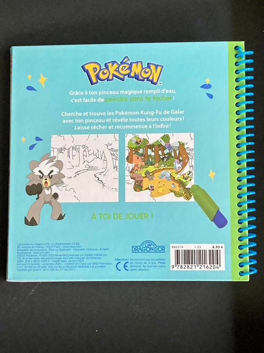 POKEMON - PINCEAU MAGIQUE - LES POKEMON KUNG-FU DE GALAR