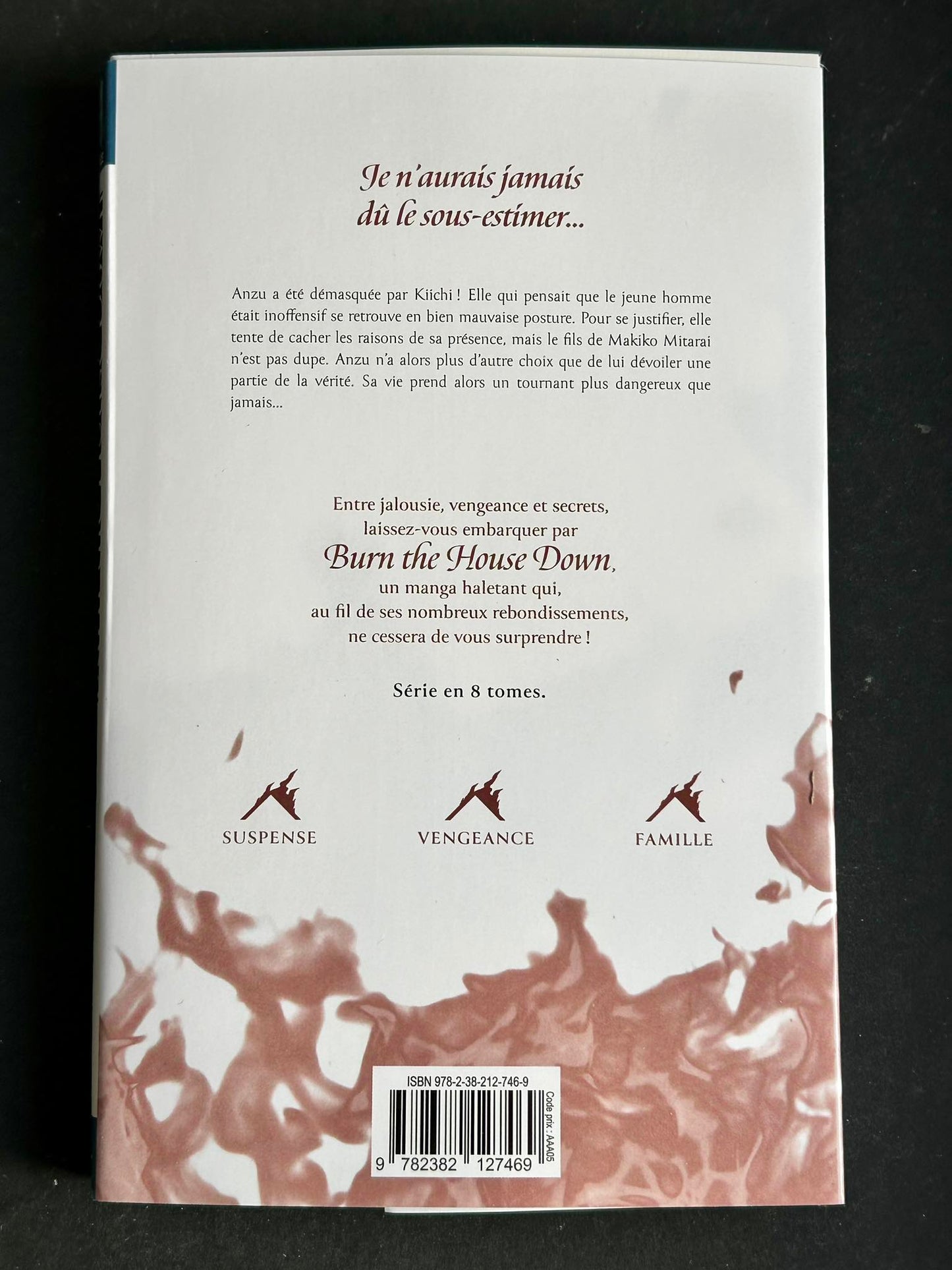 Burn the House Down - Tome 3 (VF)