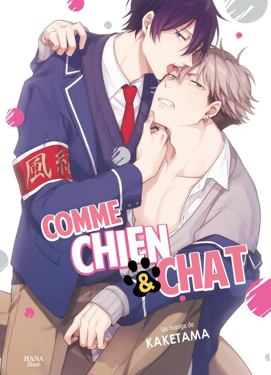 Comme chien et chat