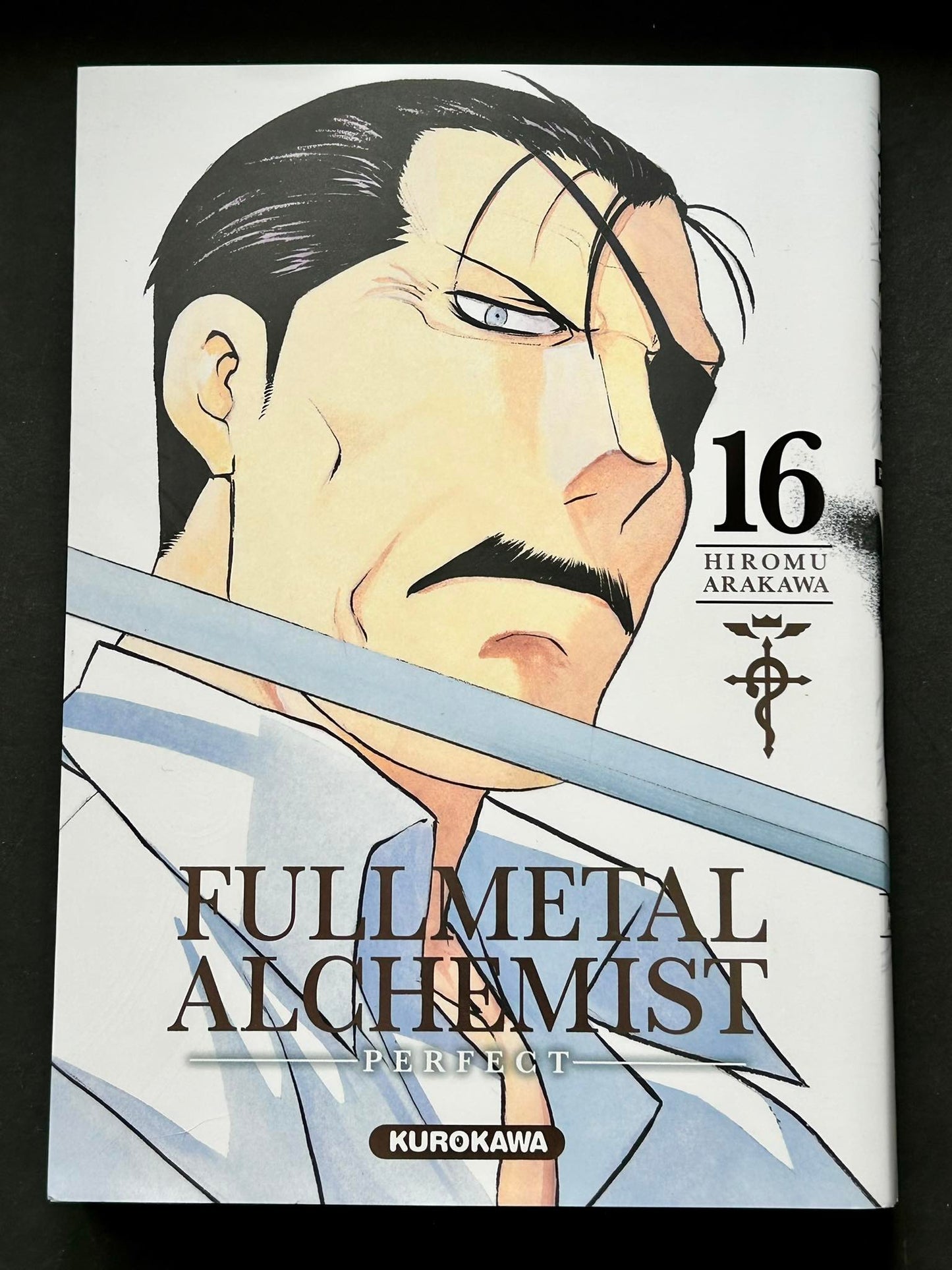Fullmetal Alchemist Perfect T16
