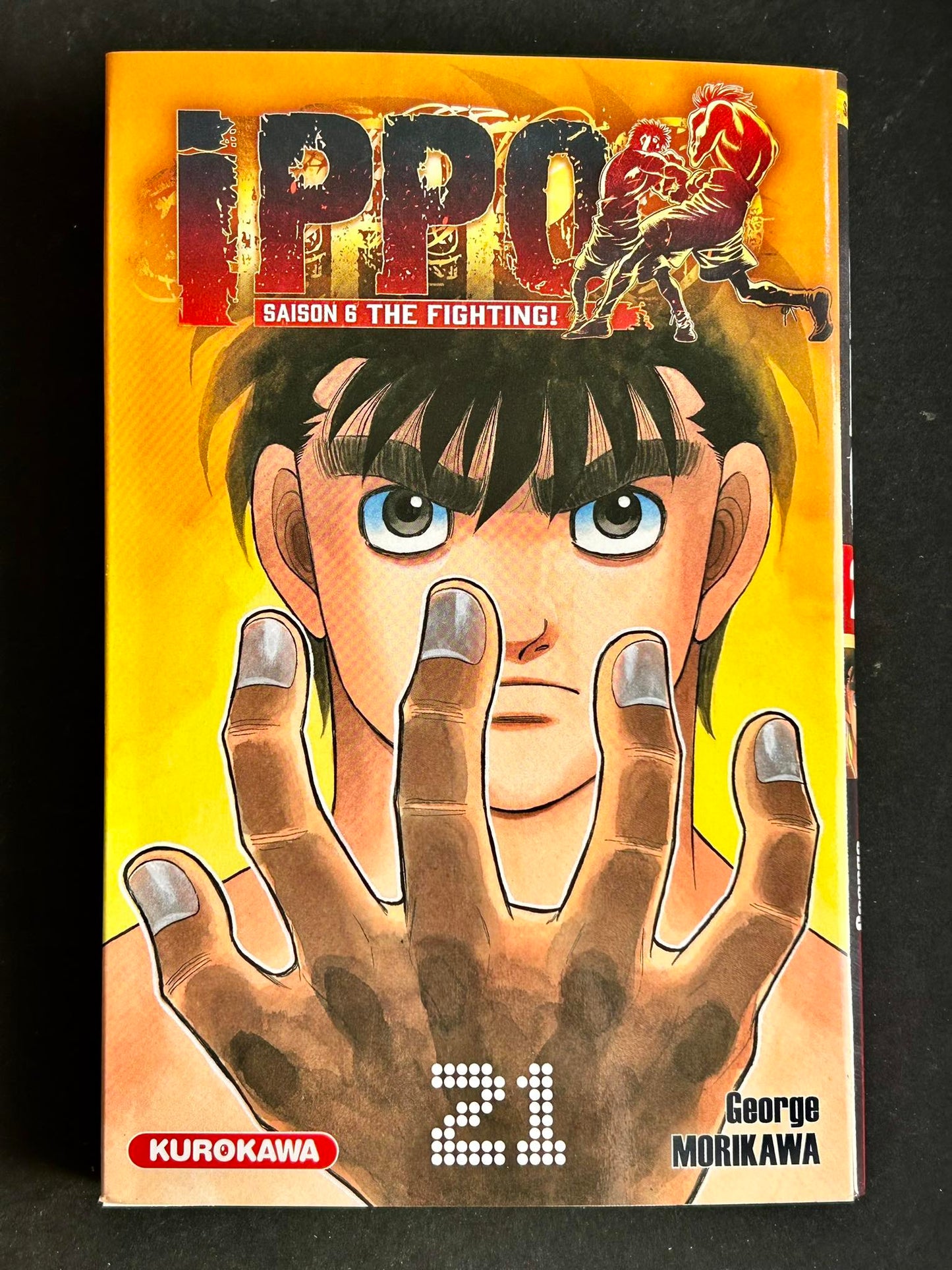IPPO - Tome 21 (Saison 6)