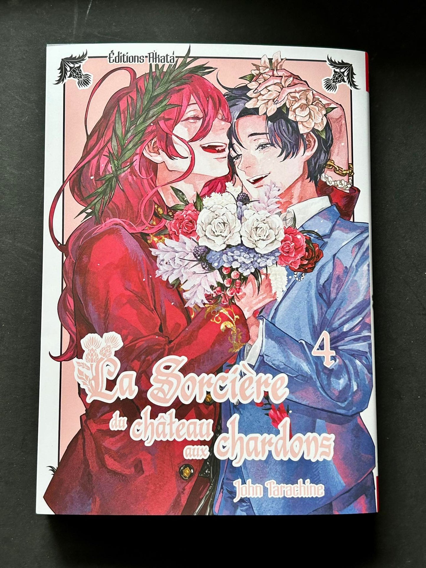 LA SORCIERE DU CHATEAU AUX CHARDONS - TOME 4