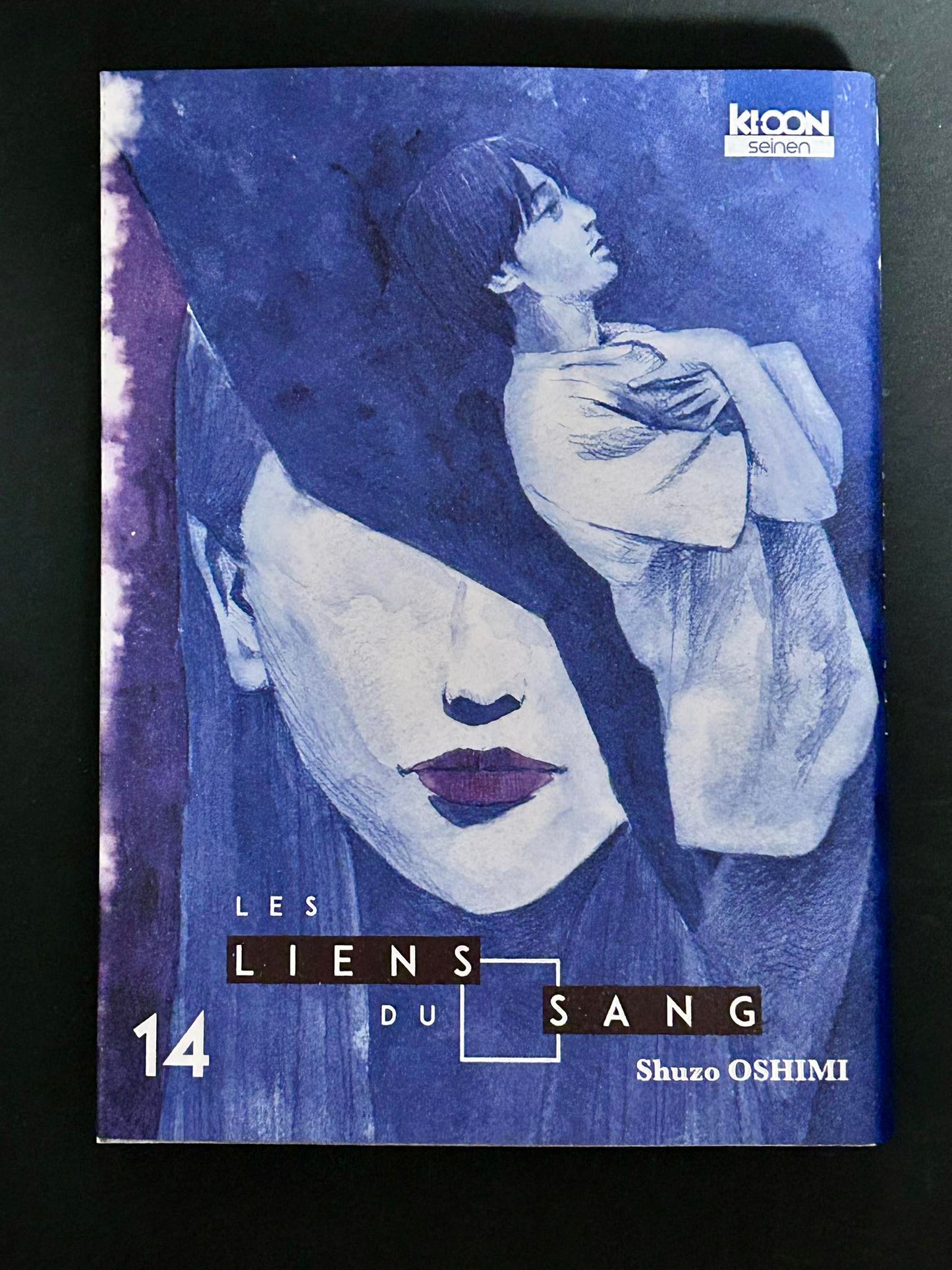 LES LIENS DU SANG T14