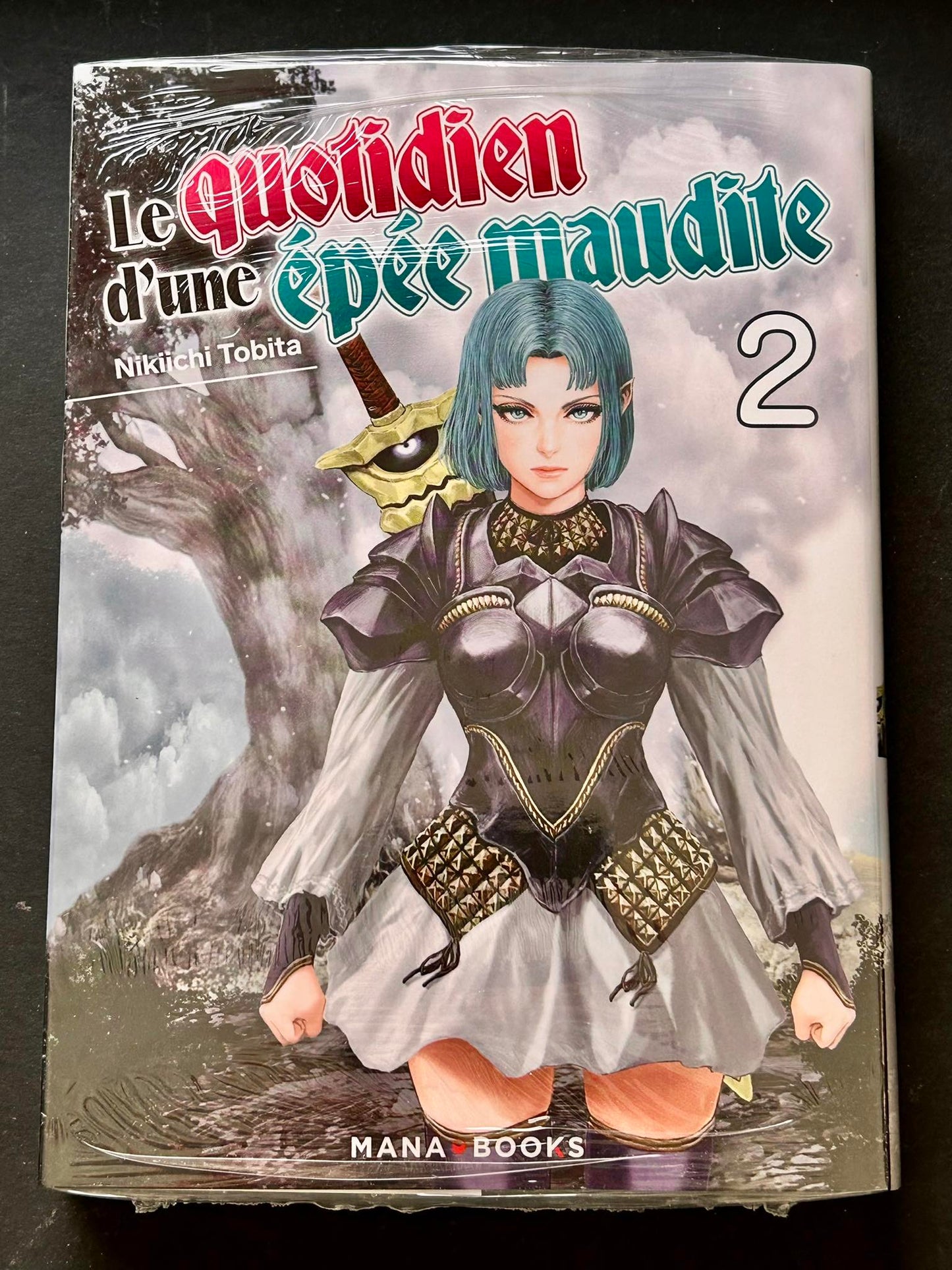 Le quotidien d'une épée maudite T02