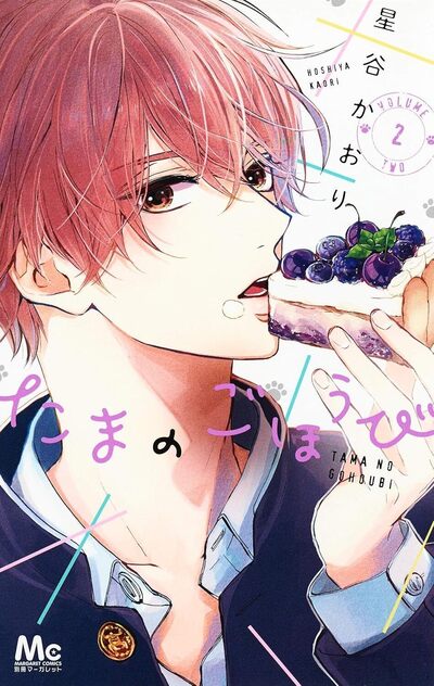 MY SWEET BOY - TOME 2 (VF)