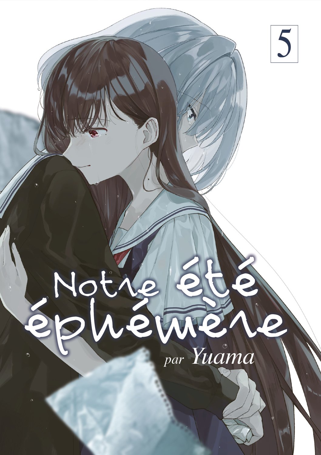 NOTRE ÉTÉ ÉPHÉMÈRE - TOME 05