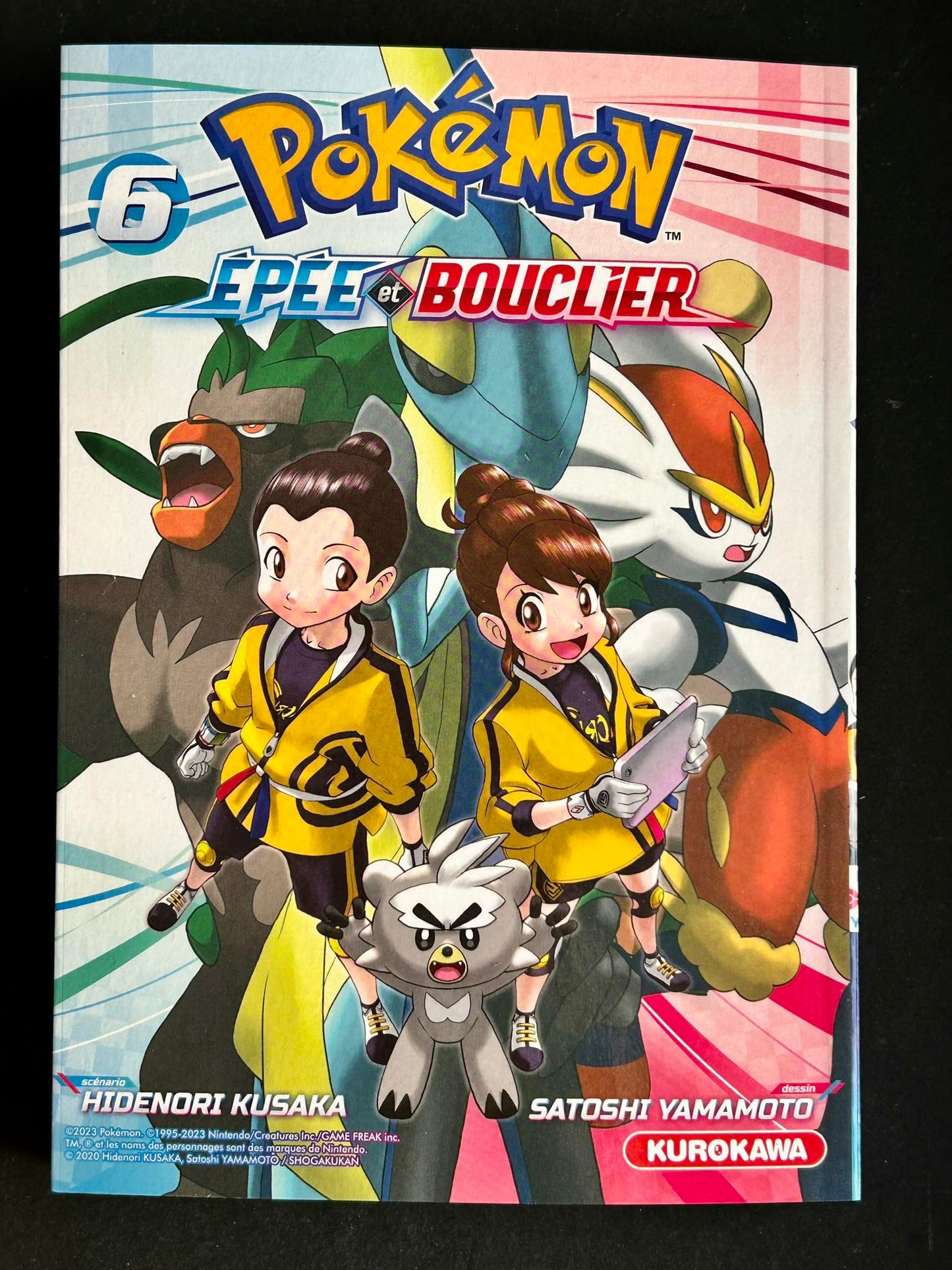 Pokémon Épée et Bouclier - T6