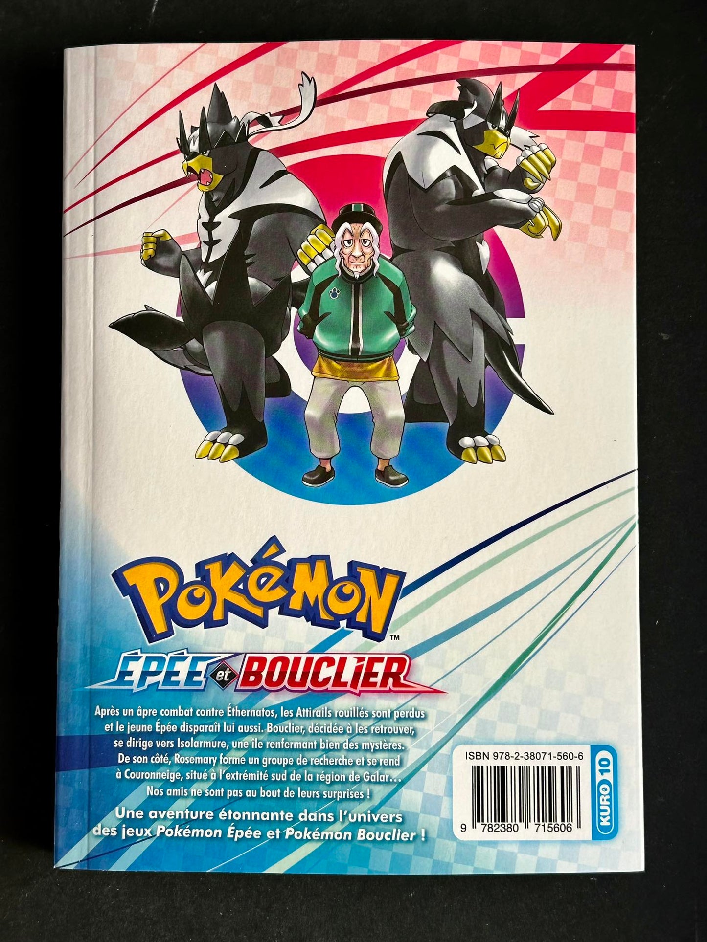Pokémon Épée et Bouclier - T6
