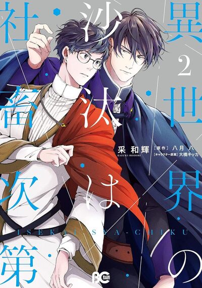 UN COMPTABLE A LA COUR - TOME 2