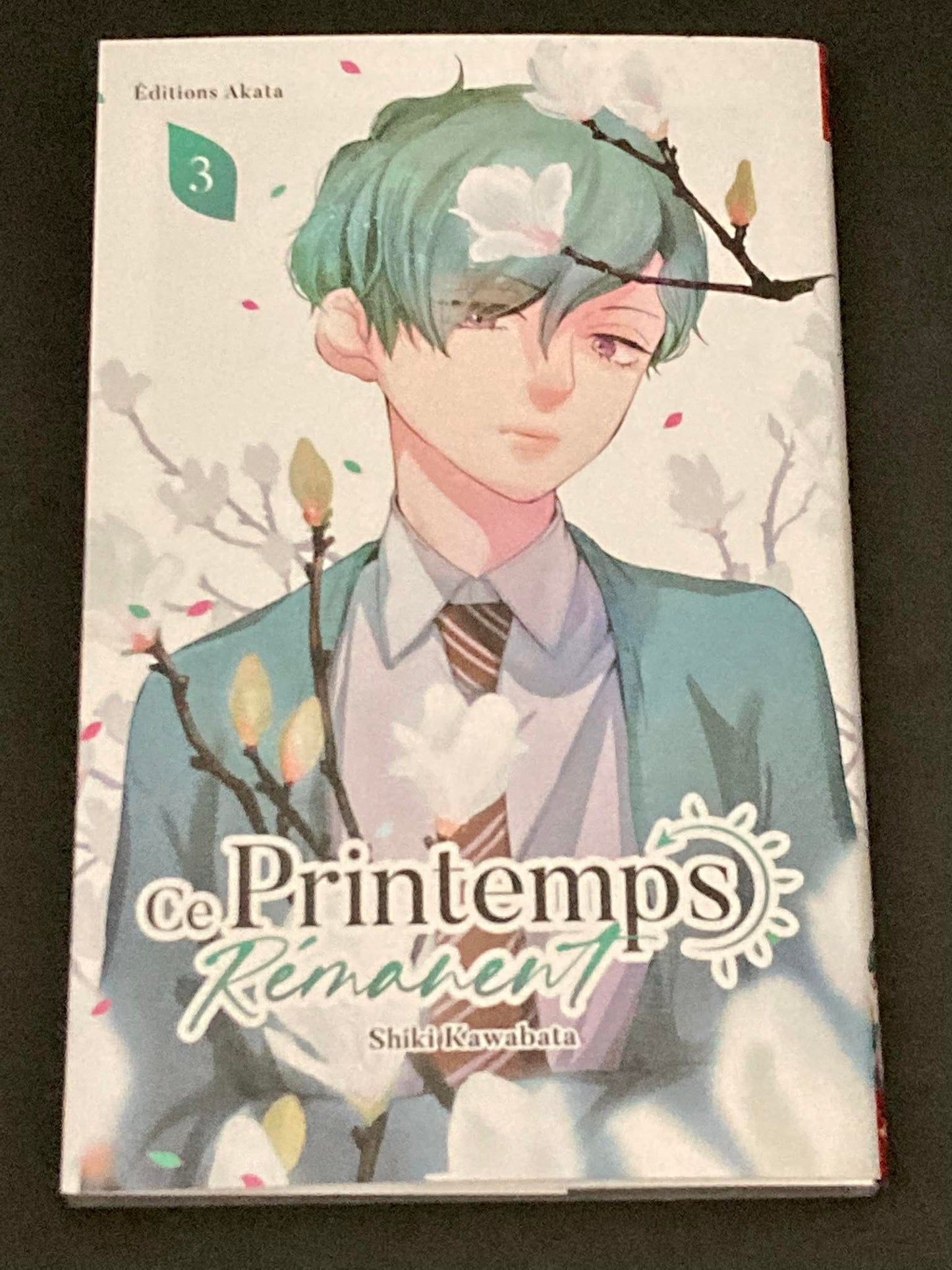 CE PRINTEMPS REMANENT - TOME 3