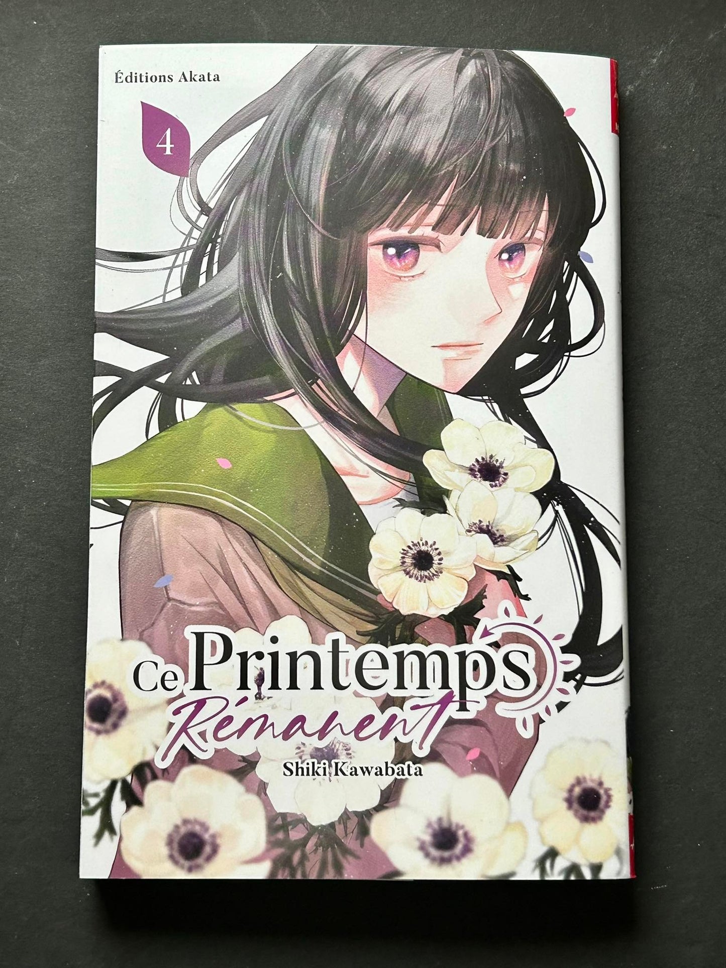 CE PRINTEMPS REMANENT - TOME 4
