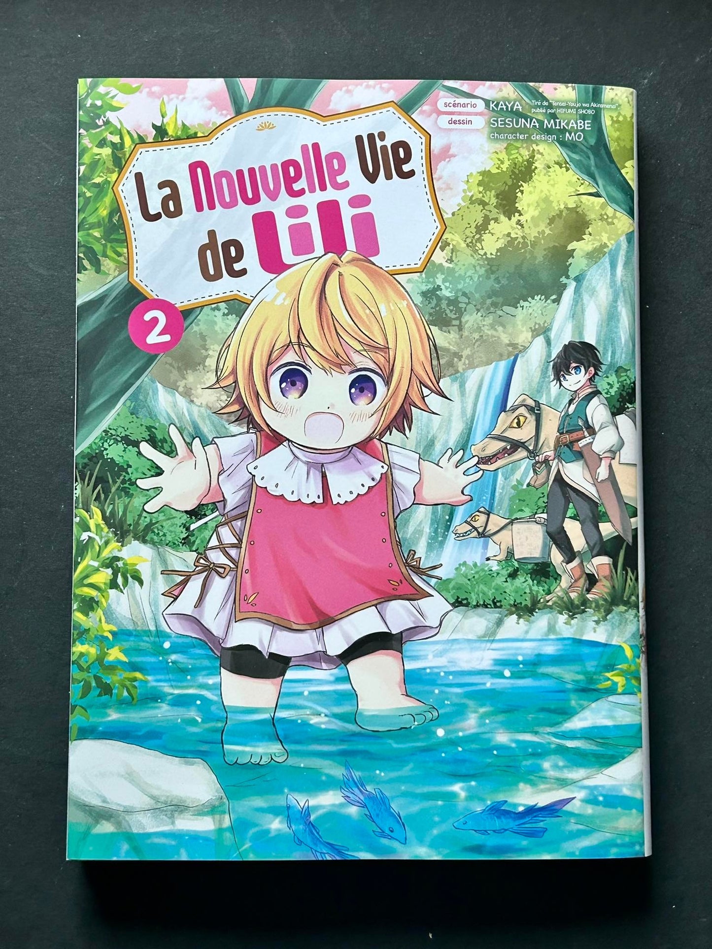 LA NOUVELLE VIE DE LILI T02
