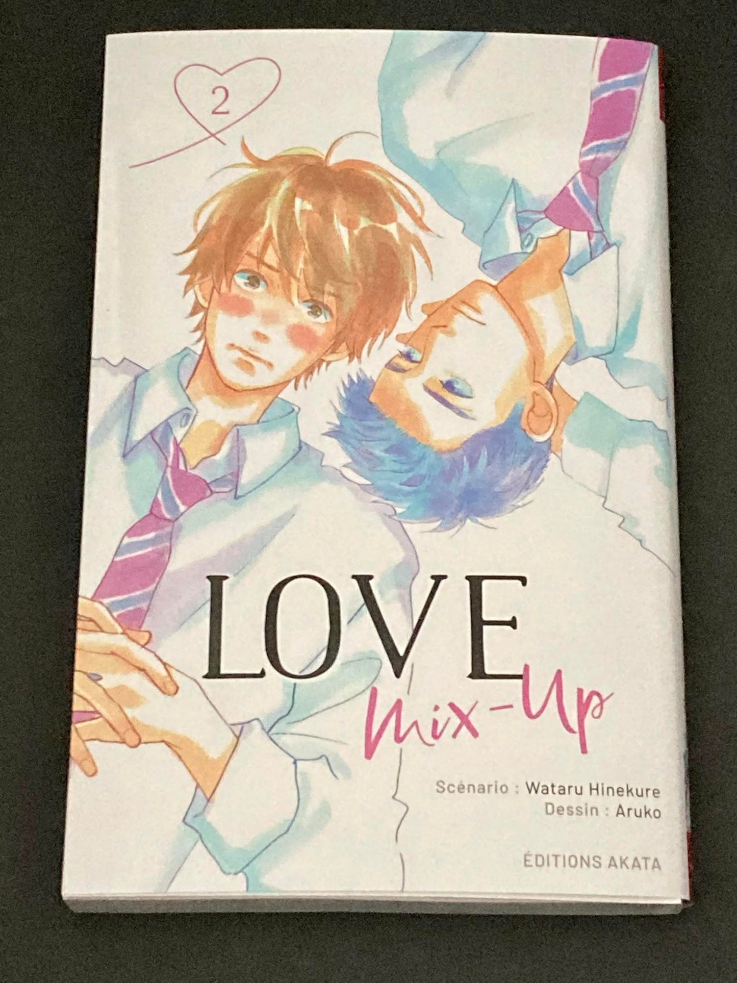 LIEFDE MIX-UP - TOME 2 (VF)