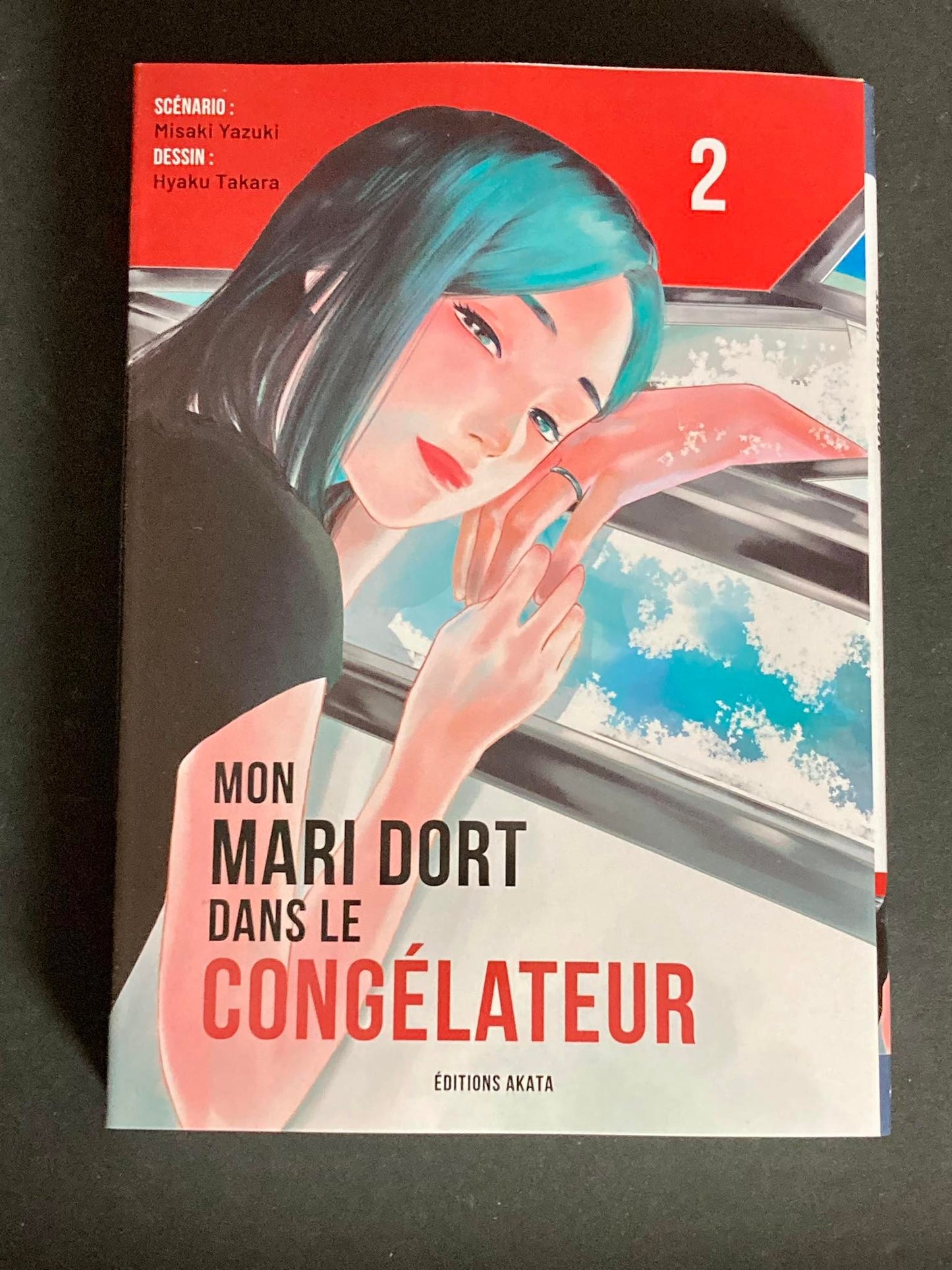 MON MARI DORT DANS LE CONGELATEUR - TOME 2