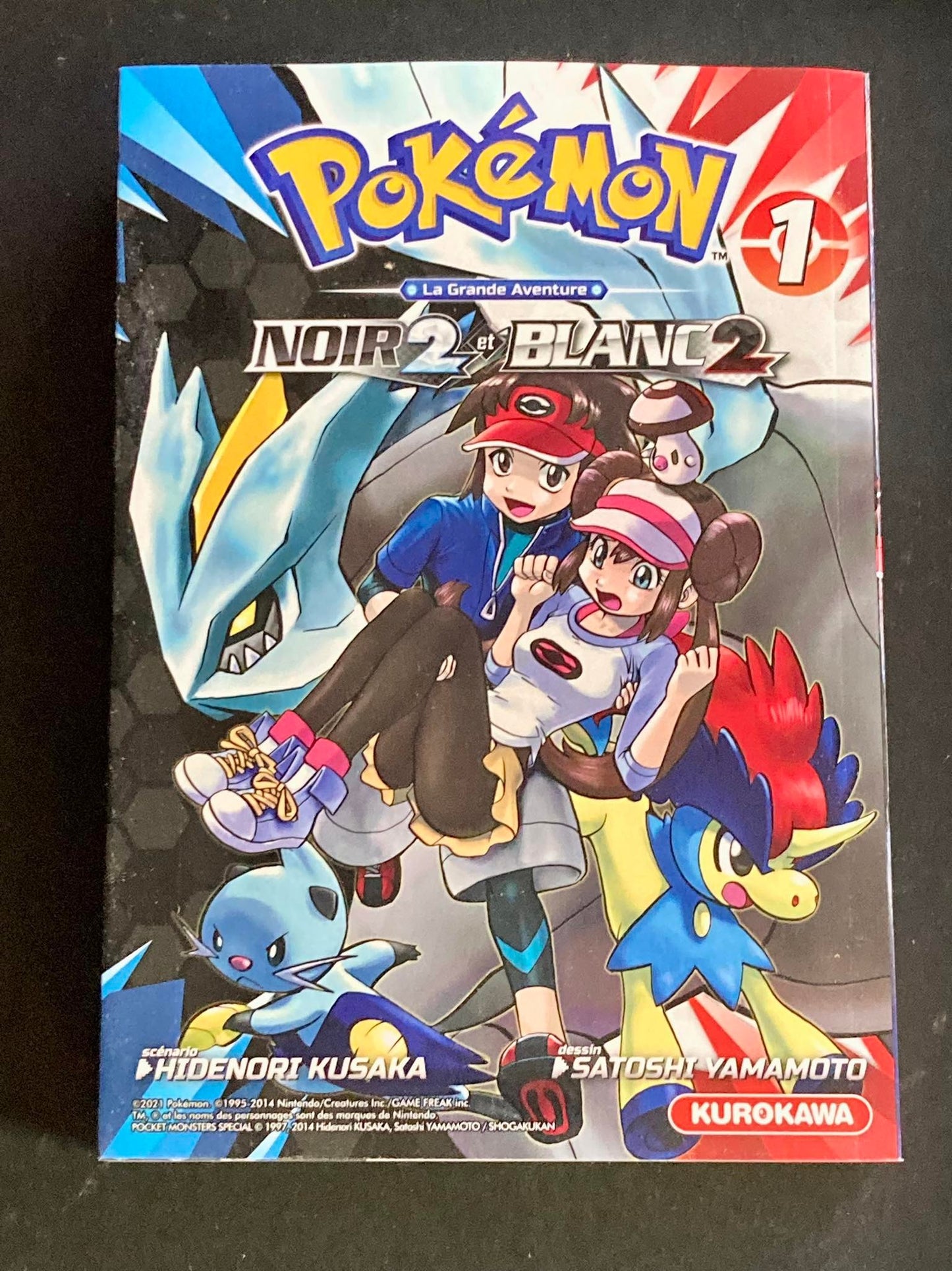 POKEMON NOIR 2 ET BLANC 2 - TOME 1